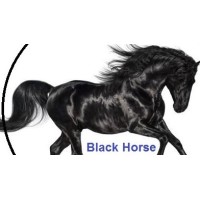 Black Horse 2022 للتسويق الالكترونى والربح من الانترنت logo - Similar company to خطانا Khutana