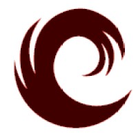 Satya Infotech logo - Similar company to Satya Soft Solutions