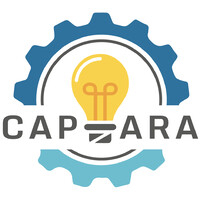 CAP ARA logo - Similar company to Ctd Inspection