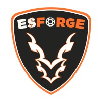 ESFORGE Pvt. Ltd logo - Similar company to Zero Axis