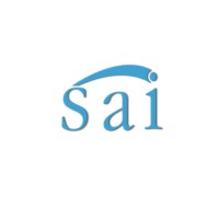 SAI System & Services Inc logo - Similar company to Beyond Wild