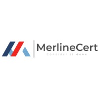 Merline Certs Limited logo - Similar company to Integer Services Group