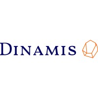 Dinamis logo - Similar company to Dynamis