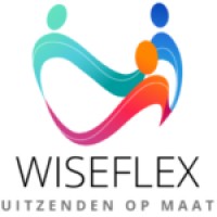 Wiseflex logo - Similar company to Win Flexo Tintas Flexograficas