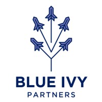 Blue Ivy Partners logo - Similar company to Spear Ai