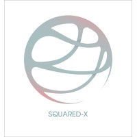 Squared-X logo - Similar company to Squaredx