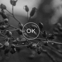Our Kindred Design & Photography