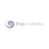 Ergo Videatur logo - Similar company to Palo Projects