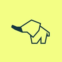Pioneering Pulse logo - Similar company to Team Shevsache Gmbh