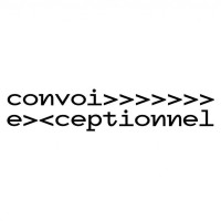 convoi exceptionnel logo - Similar company to Convoi Exceptionnel Ltd