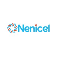Nenicel logo - Similar company to Solution Streams