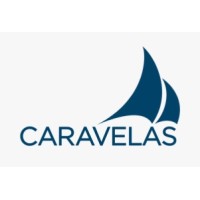 Caravelas Consultoria logo - Similar company to Caravela Textil