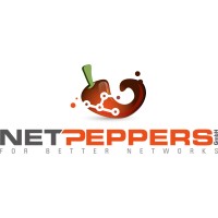 NetPeppers logo - Similar company to Trend Networks