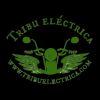 Tribuelectrica logo - Similar company to Charger Electrical