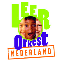 Stichting Leerorkest logo - Similar company to Valkyriepro Tech
