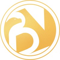 Birds View logo - Similar company to Sparkco
