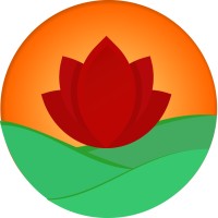Desperto logo - Similar company to Lummo Transitions Lab