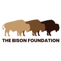 The BISON Foundation logo - Similar company to Next Element