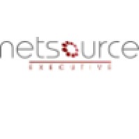 Netsource Executive logo - Similar company to Pv Recruiter