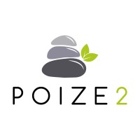 Poize2 Consulting logo - Similar company to Sharpedg, Llc  (8(A), Wosb, And Edwosb)