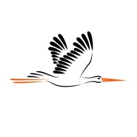 The Poland Observer logo - Similar company to The Cee Summit