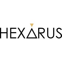 Hexarus Creative Sdn Bhd logo - Similar company to Vsing International
