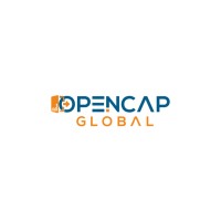 OpenCap Global logo - Similar company to Eleva.Us