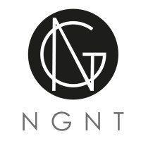 NGNT Consultancy logo - Similar company to Torch Electrical Group Co.,Ltd.
