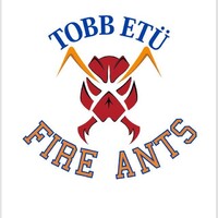TOBB ETU American Football Team logo - Similar company to Berker Enerji