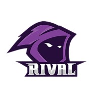 Team Rival logo - Similar company to Gamersmagh