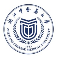 ZCMU_Official logo - Similar company to Intensivo De Metas