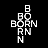BORN ARTISTS logo - Similar company to Beauty Papers