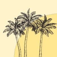 Natch logo - Similar company to Between East