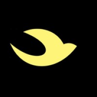 geoflypagesitservice logo - Similar company to Brandhype Digital Pvt Ltd