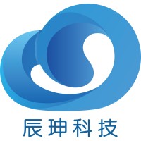 Shanghai Chenshen Information Technology Co., Ltd. logo - Similar company to Rigel Kent Security