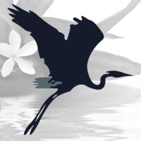 Blue Heron Massage FTY