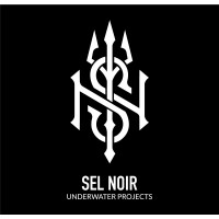 SEL NOIR Project logo - Similar company to Asape.Store