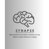 SYNAPSE logo - Similar company to National Research & Innovation Conference