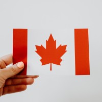 NAAS Immigration Services Inc. logo - Similar company to Étudesnb - Canada