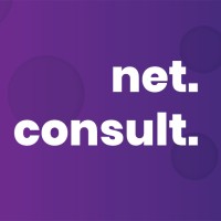 Net Consult logo - Similar company to Net Consult