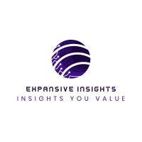 Expansive Insights logo - Similar company to Amplytics