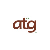 ATG - Data, AI & Software Engineering logo - Similar company to Fruti Sabor