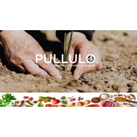 PULLULO PTE LTD logo - Similar company to Ecomonitor