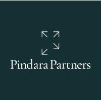 Pindara Partners logo - Similar company to Delaypay