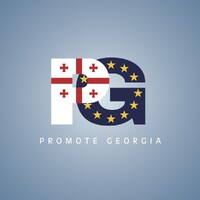 Promote Georgia logo - Similar company to Tetri Connections