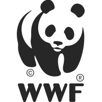 WWF - Azerbaijan logo - Similar company to Klaus Toepfer Fellowship Programme