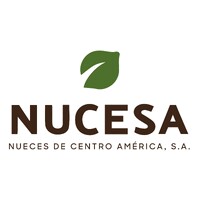 Nucesa logo - Similar company to Grupo Avanza Scoop