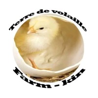 VisioBoost Digital logo - Similar company to Eliora Agro
