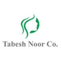 Tabesh Noor logo - Similar company to Simedix