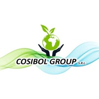COSIBOL GROUP S.R.L. logo - Similar company to Plásticos Del Sur